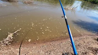 Рыбалка в проводку с берега на реке 2024