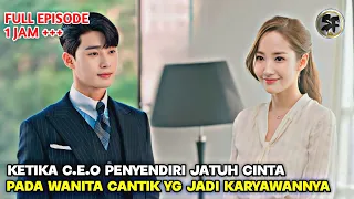 KETIKA BOS PERUSAHAAN SUPER GALAK JATUH CINTA PADA KARYAWAN CANTIK - ALUR CERITA FILM