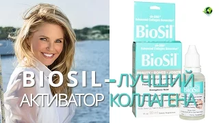 Biosil – лучший активатор коллагена, эластина и кератина организмом