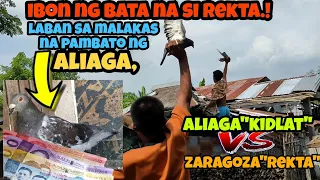 ALIAGA KIDLAT VS REKTA ZARAGOZA | SOBRA GANDA NG LABAN, SIGAWAN! | KARERA NG KALAPATI