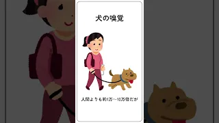 犬の面白い雑学short Vol.1 #トリビア #shorts #犬