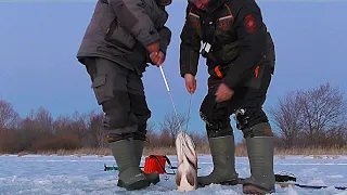 МОНСТР ПОЙМАН!!! ЩУКА ЕЛЕ ВЛЕЗЛА В ЛУНКУ! РЕКОРД ВЗЯТ! Вот это рыбалка.