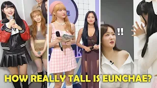 Kpop idols' reactions to Eunchae's height (EXO, Aespa, Chaemin, Bomi, Shuhua, etc.)