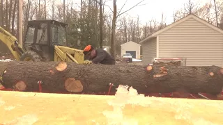 Bringing  white pine to the mill and cutting into a 12" cant.