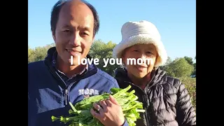 Lug Txaj Kuv Leej Nam, Hmong Folk Song for My Mom Singer: Laj Pov Tsaab/Pao Chang Pang Thao