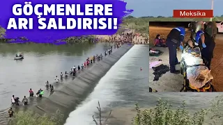 Sınırı geçmeye çalışan kaçak göçmenlere arılar saldırdı!