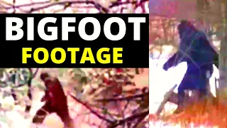 Paul Freeman BIGFOOT Deleted Raw Footage 🙊 BIGFOOT Footage