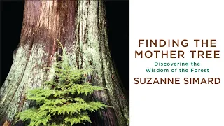 Finding the Mother Tree: An Evening with Suzanne Simard