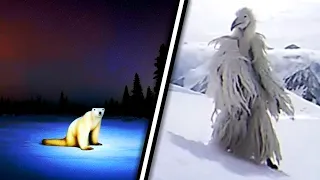 Polar Bear 2026 or Opium Bird 2027