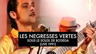 Les Négresses Vertes - Sous Le Soleil De Bodega - 13-04-1991 - Les Nuls L'Emission (C+)