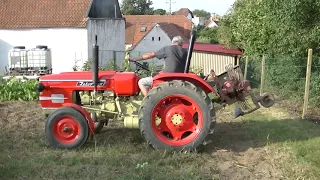 Brambory Zetor 2511 ( Znojmo ) 8 2022