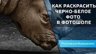 Как раскрасить черно белое фото в фотошопе