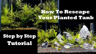 How To Rescape Your Planted Tank - Step by Step Tutorial