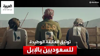 فيلم هجان.. يوثق العلاقة الوطيدة للسعوديين بالإبل