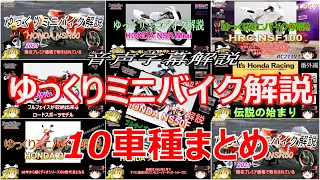 Minimoto Audio subtitle commentary 10 models summary