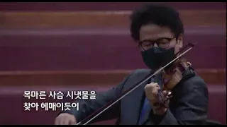 목마른 사슴 백재진 바이올린 특송