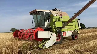 CLAAS Dominator 88 Classic Harvesting Spring Barley - Harvest 2022