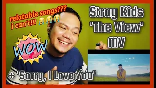 Stray Kids 'The View' & '좋아해서 미안 (Sorry, I Love You)' MV REACTION! | Stray Kids Reaction Series