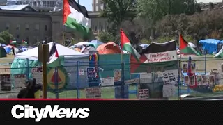 Pro-Palestinian protesters call offer from U of T 'a farce'