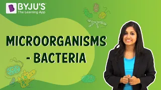 Microorganisms 02 - Bacteria, the Guys Everywhere