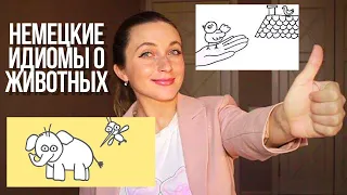 15 лучших немецких ИДИОМ о животных || Говори, как немец