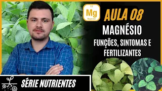 SÉRIE NUTRIENTES: MAGNÉSIO funções, sintomas de deficiência e fertilizantes para correção