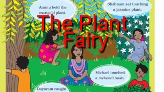 NCERT CBSE class:3 EVS (looking around) ch:2 The Plant Fairy explanation and activities.