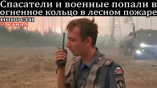 Пожарные МЧС попали в огненное кольцо в лесном пожаре в Мордовском заповеднике.