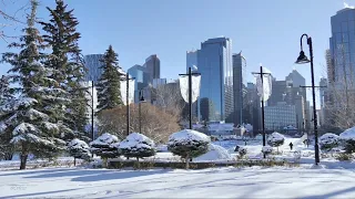 Discover CANADA - CALGARY Alberta after Snowfall - Downtown Walk | Calgary vlog