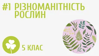 Різноманітність рослин #1