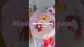 Surprise gifts from Meccha Japan!! 🤩 #plushies #figures