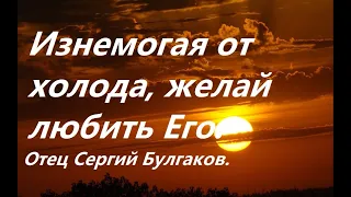 Изнемогая от холода, желай любить Его. Отец Сергий Булгаков.