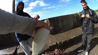 PESCA EN MUELLE GRATIS. NO VAS A CREER LO QUE PICO