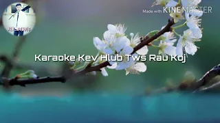 [Karaoke] Kwm Lis-Kev Hlub Tws Rau Koj instruments