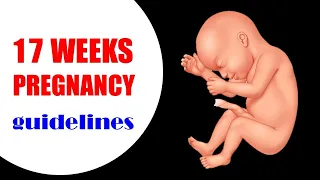 17 Weeks Pregnant – Pregnancy Symptoms and Baby Moving | Belly Size and What to Expect