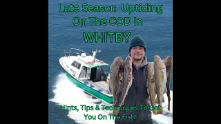 Uptide Cod Fishing In Whitby