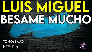 Luis Miguel - Bésame Mucho - Karaoke Instrumental - Bajo