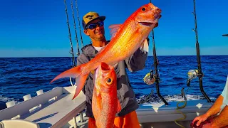 The Goal was to Catch some Fish for Dinner - Deep Dropping Queen Snapper