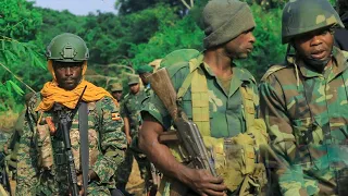 Opérations FARDC-UPDF : poursuite des offensives contre les ADF, la situation sous contrôle