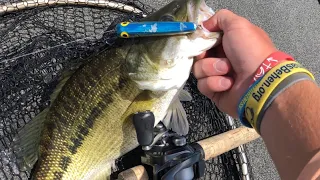Post Spawn Tactics on Lake Lanier (HOT BAITS and TECHNIQUES for May)