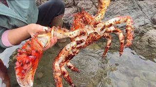 Snow crabs from Alaska. Orange giant pearl scallops