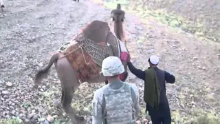 Смешное видео: верблюд "намекнул" американскому солдату, что не любит, когда его гладят