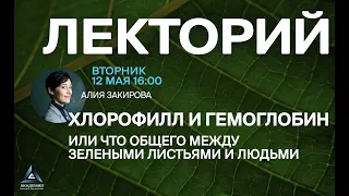 Хлорофилл и гемоглобин или что общего между зелеными листьями и людьми