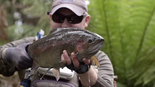 Howard Croston, champion angler, ranks fly fishing in Tasmania in the world's top three.