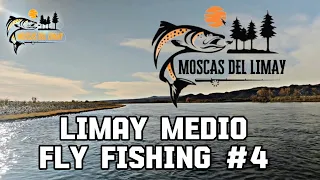 Limay Medio Fly Fishing #4 / Trucha Arcoíris de 3,6 KG / Trucha marrón de 2,7 KG