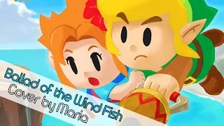 【Arya】Link's Awakening - Ballad of the Wind Fish (English Cover)