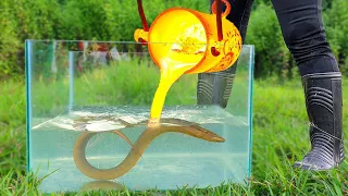 Experiment: LAVA vs ELECTRIC EEL Underwater