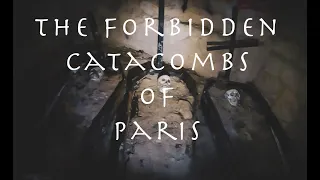 Catacombs of Paris: Hidden Realms Explored