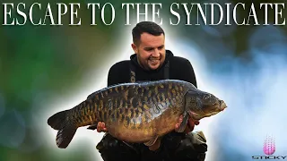 Tom Maker - Escape to the Syndicate