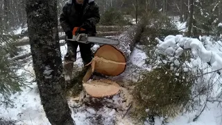 ЗАЕХАЛИ В НОВУЮ ДЕЛЯНУ, ВАЛКА ЛЕСА ТРЕЛËВКА ЛЕСА НА МТЗ